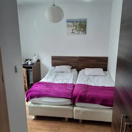 民宿 Amber House 格但斯克